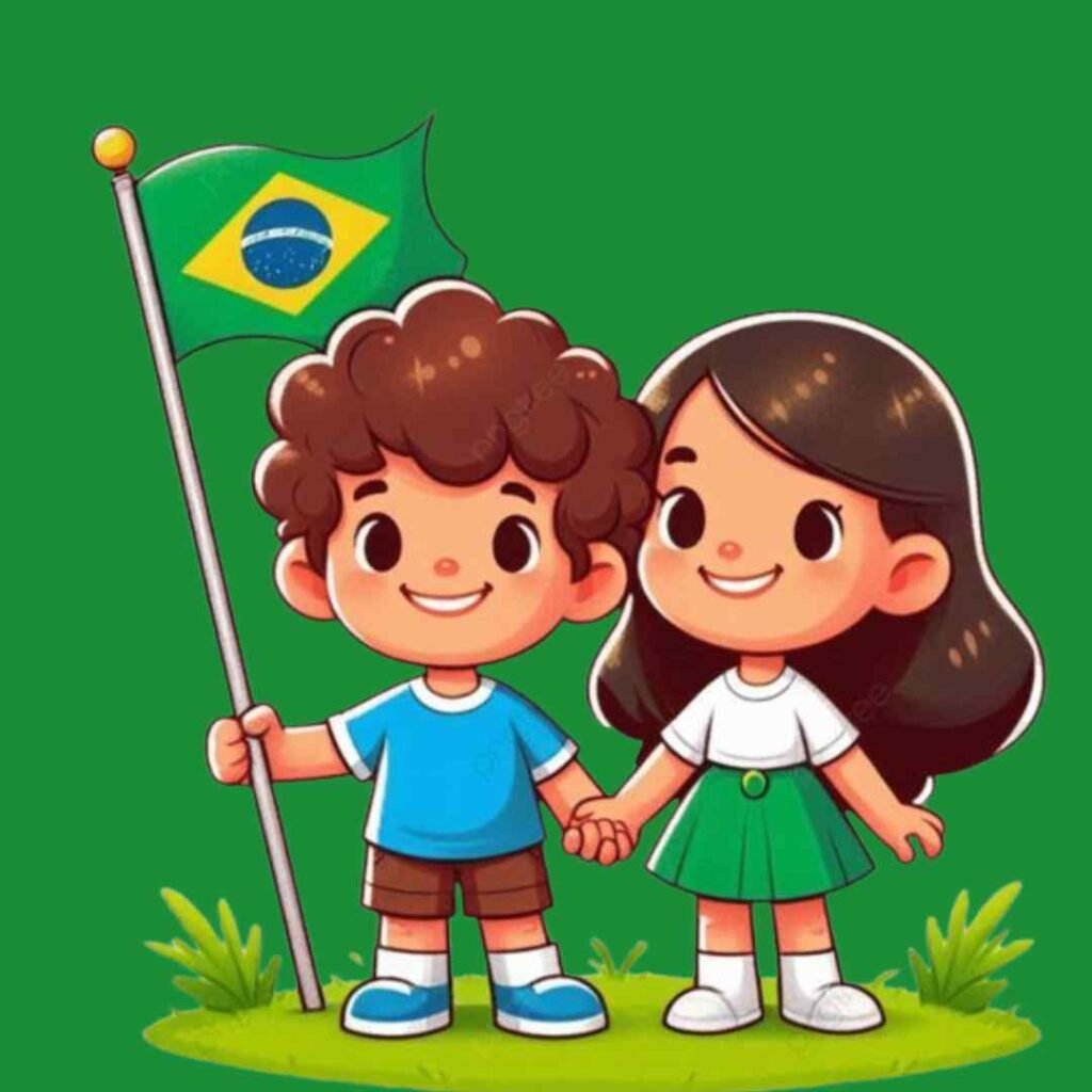 Brazil Flag DP