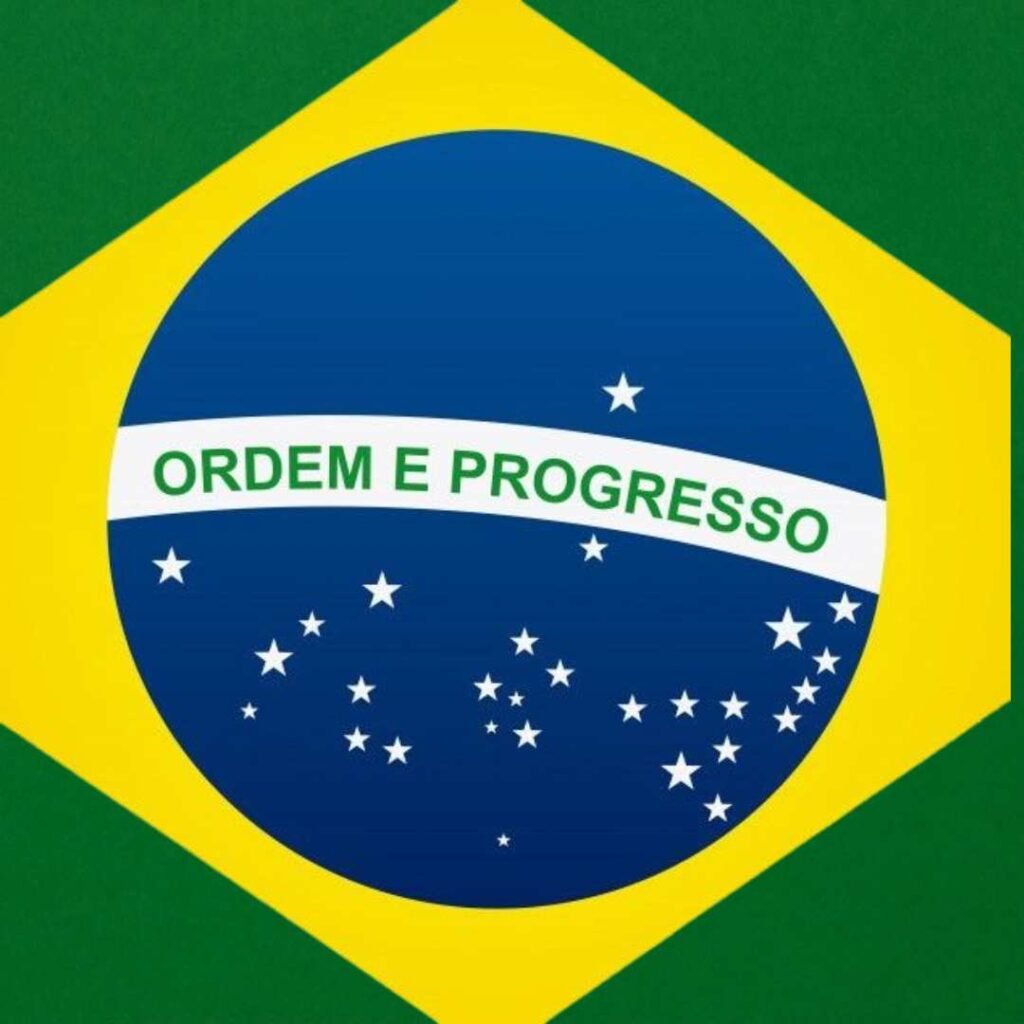 Brazil Flag DP Pics
