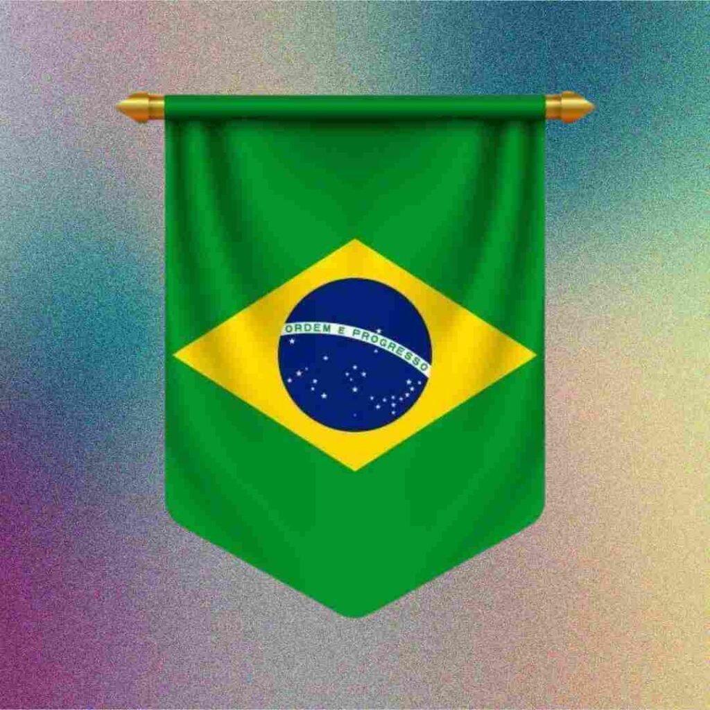 Brazil Flag DP Pics