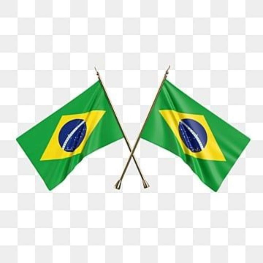 Brazil Flag DP Pics