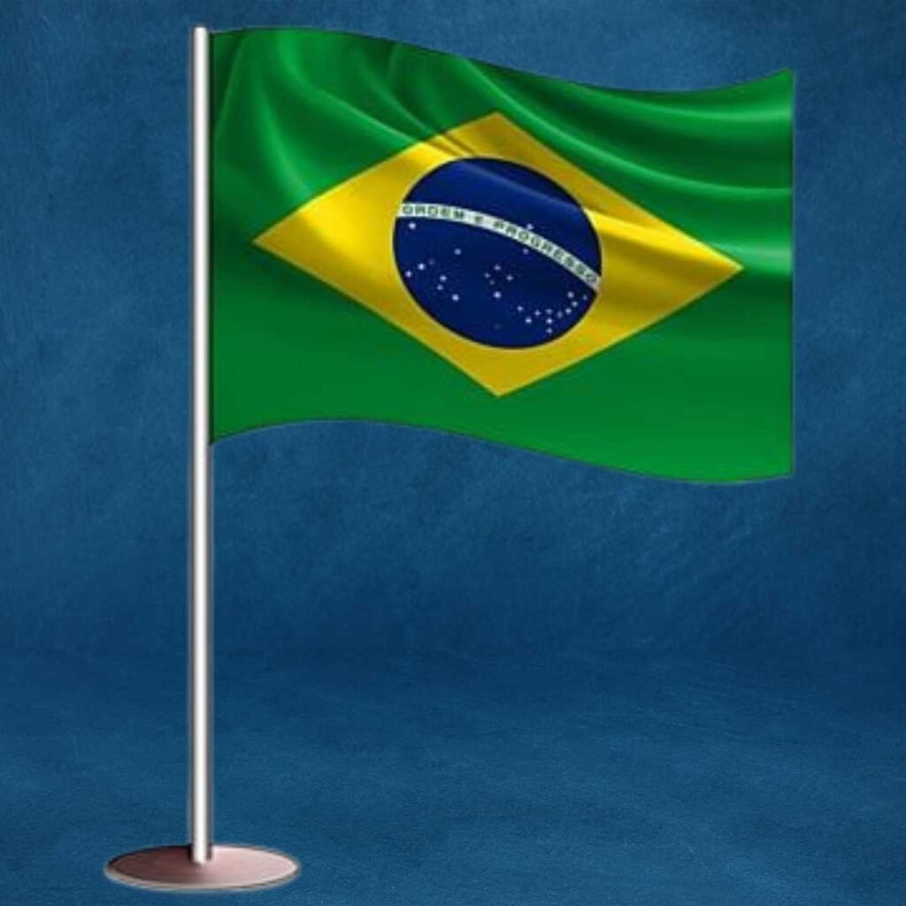 Brazil Flag DP Pics