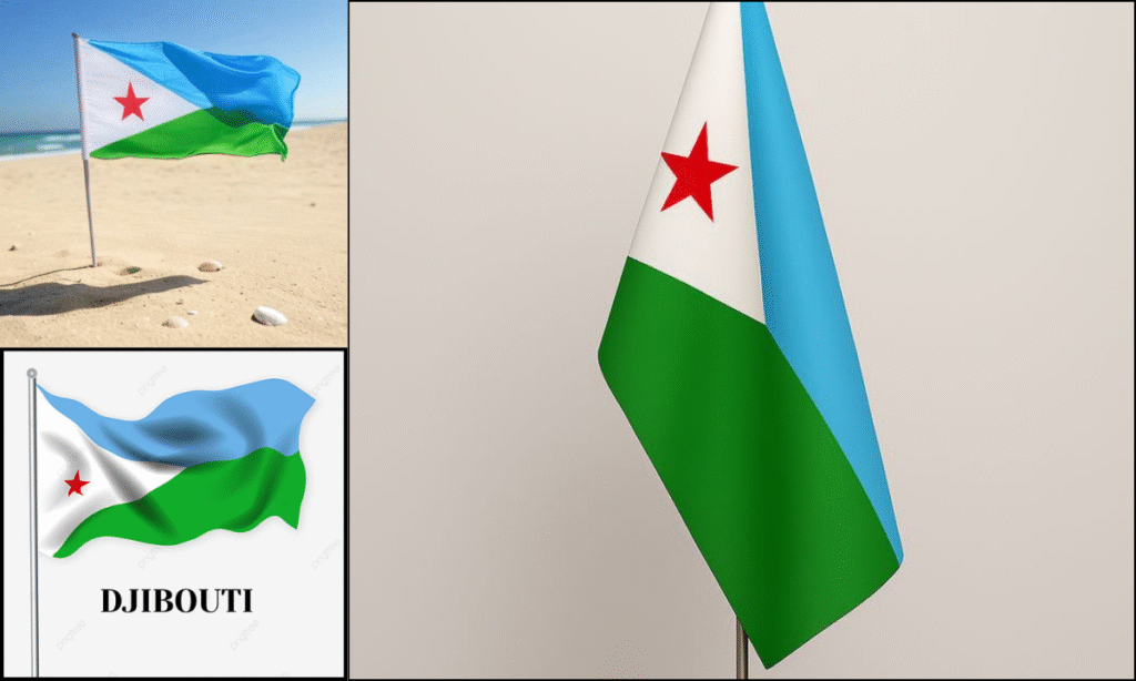 Djibouti Flag DP