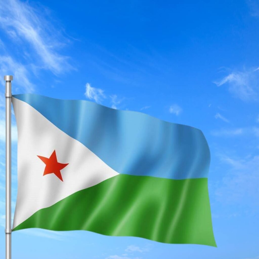 Djibouti Flag DP