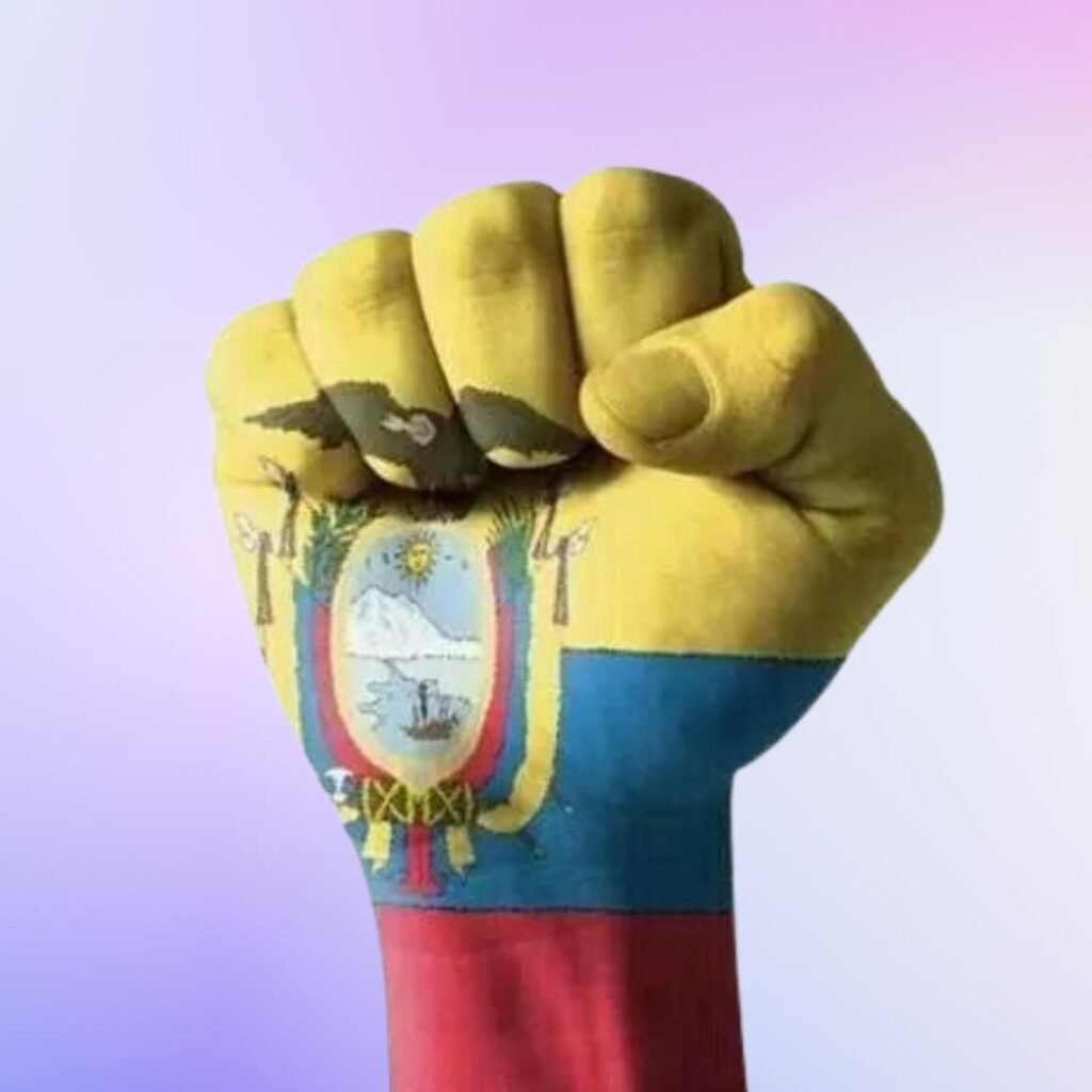 Ecuador Flag DP Photos