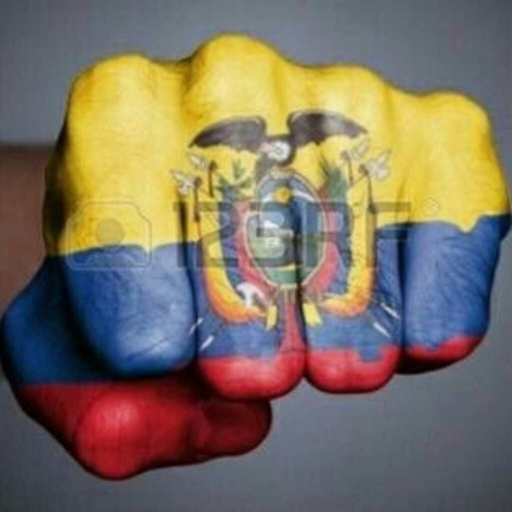 Ecuador Flag DP Photos