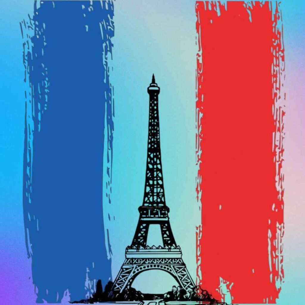 France Flag DP Pics