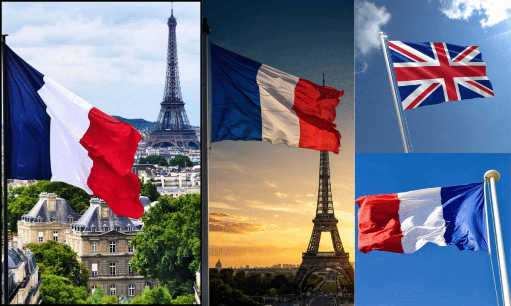 France Flag DP