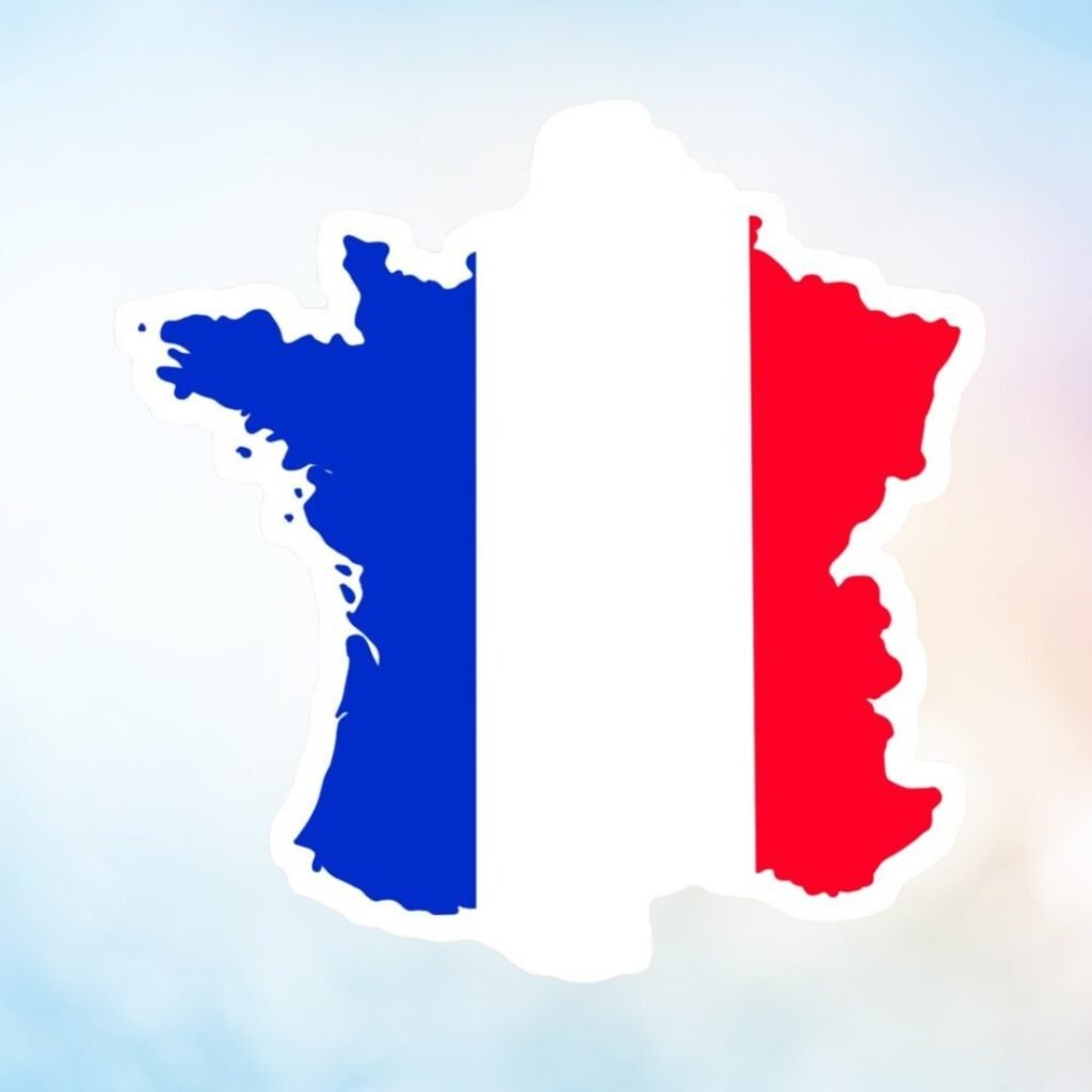 France Flag DP