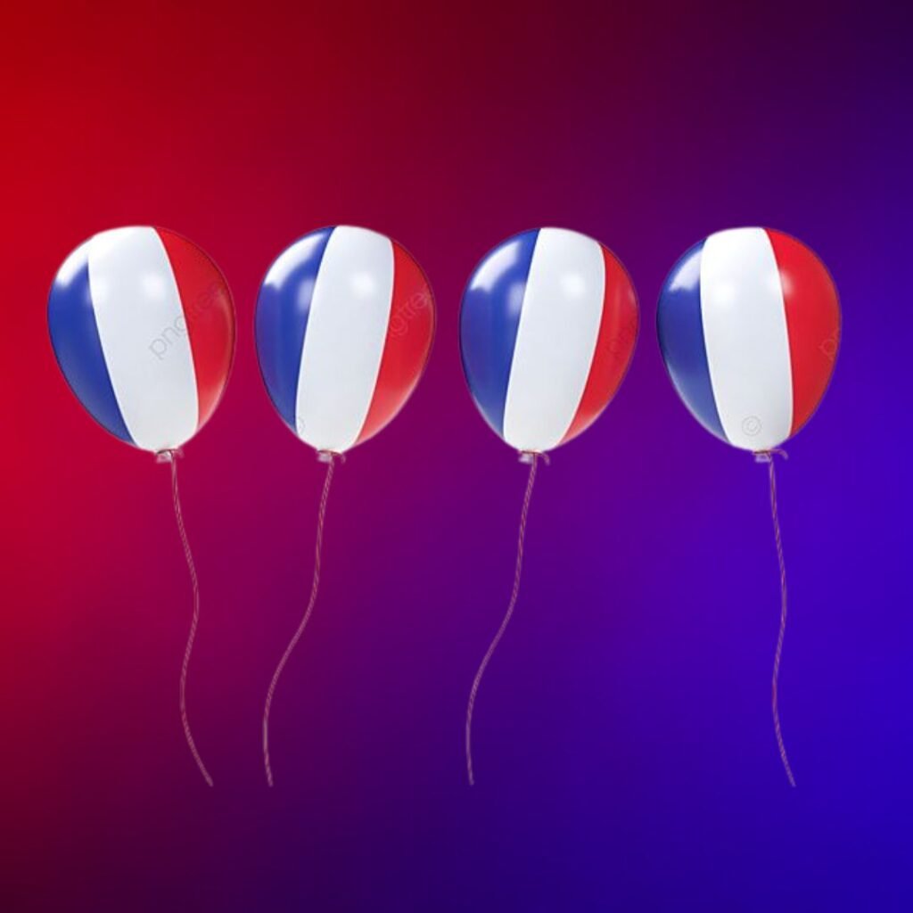 France Flag DP