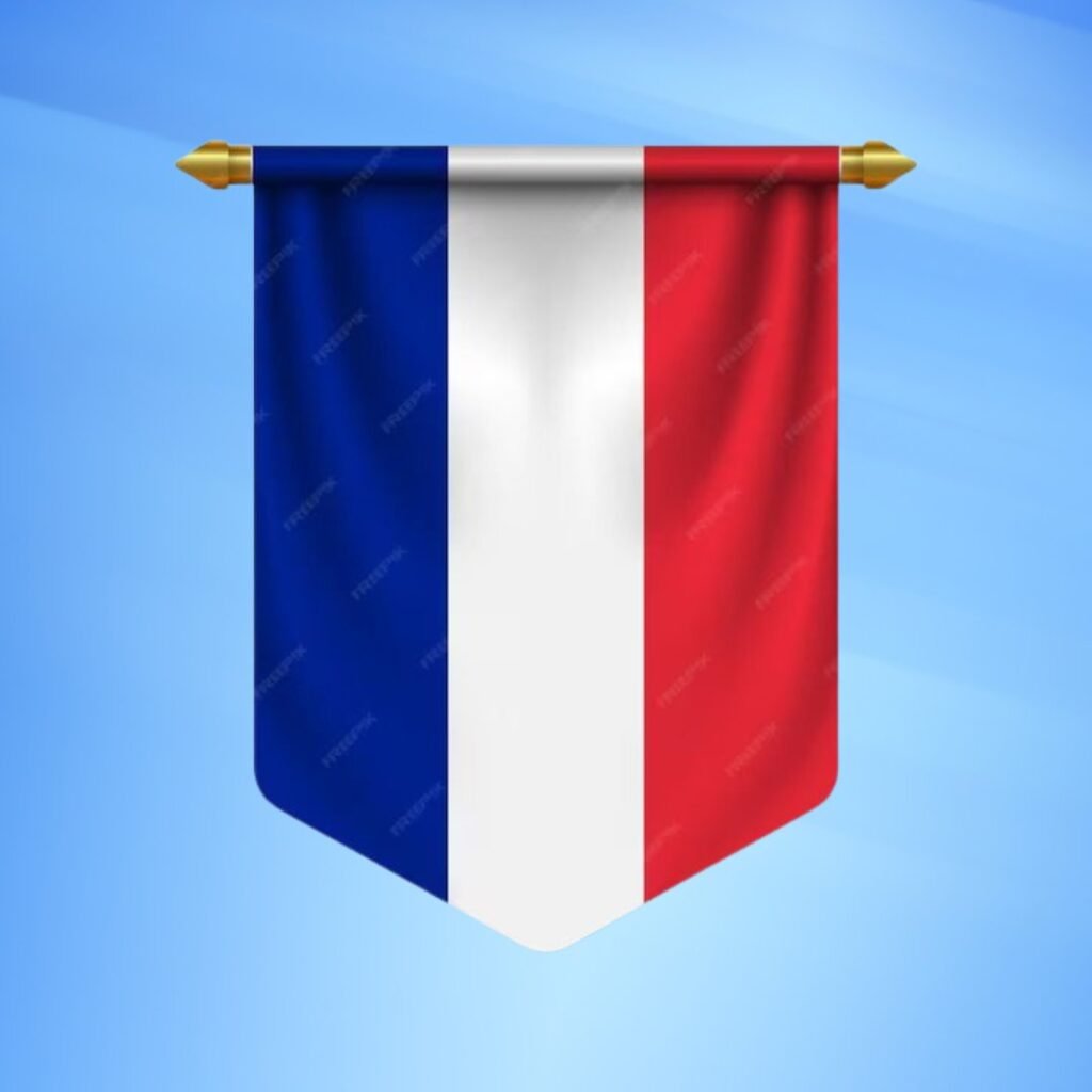France Flag DP