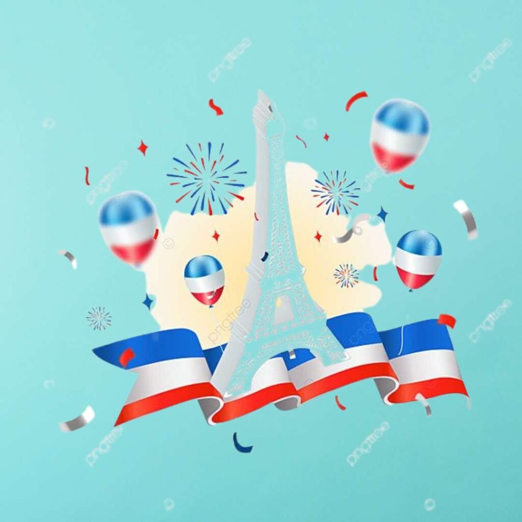 France Flag DP