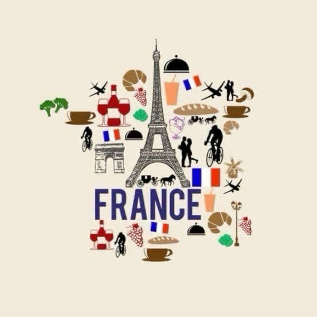 France Flag DP