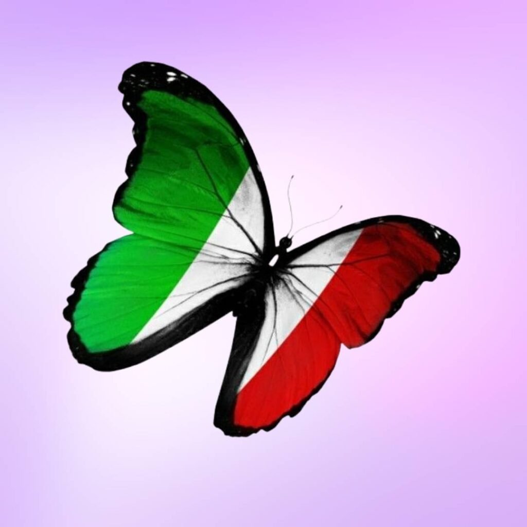 Italy Flag DP