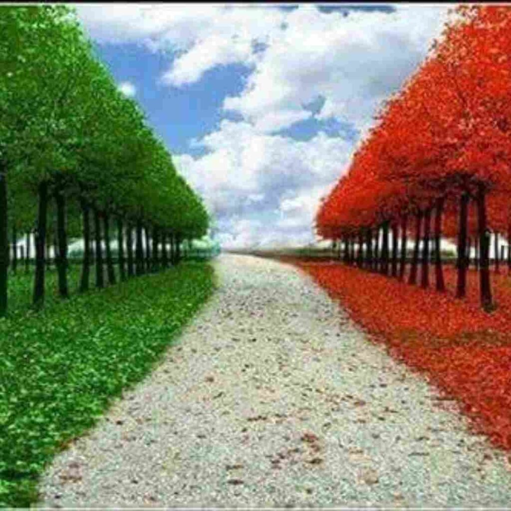 Italy Flag DP Pics,