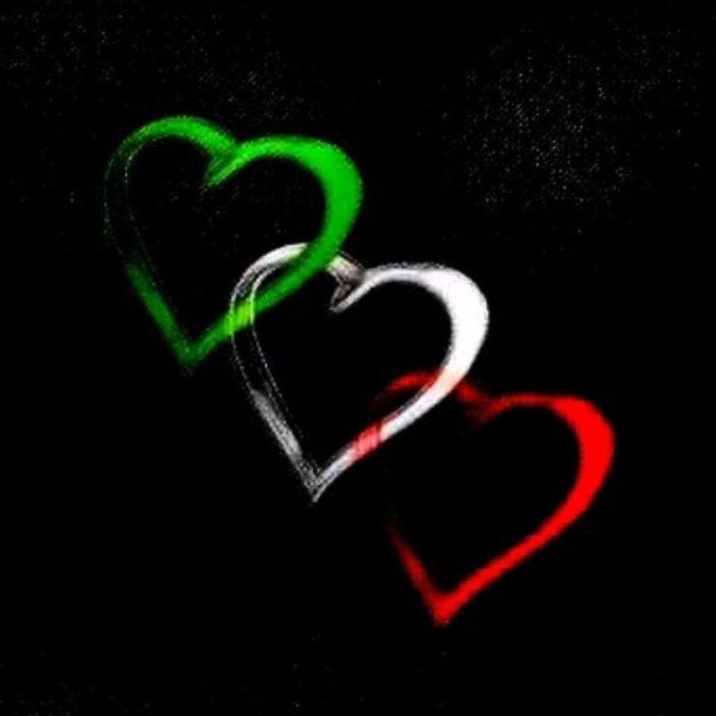 Italy Flag DP