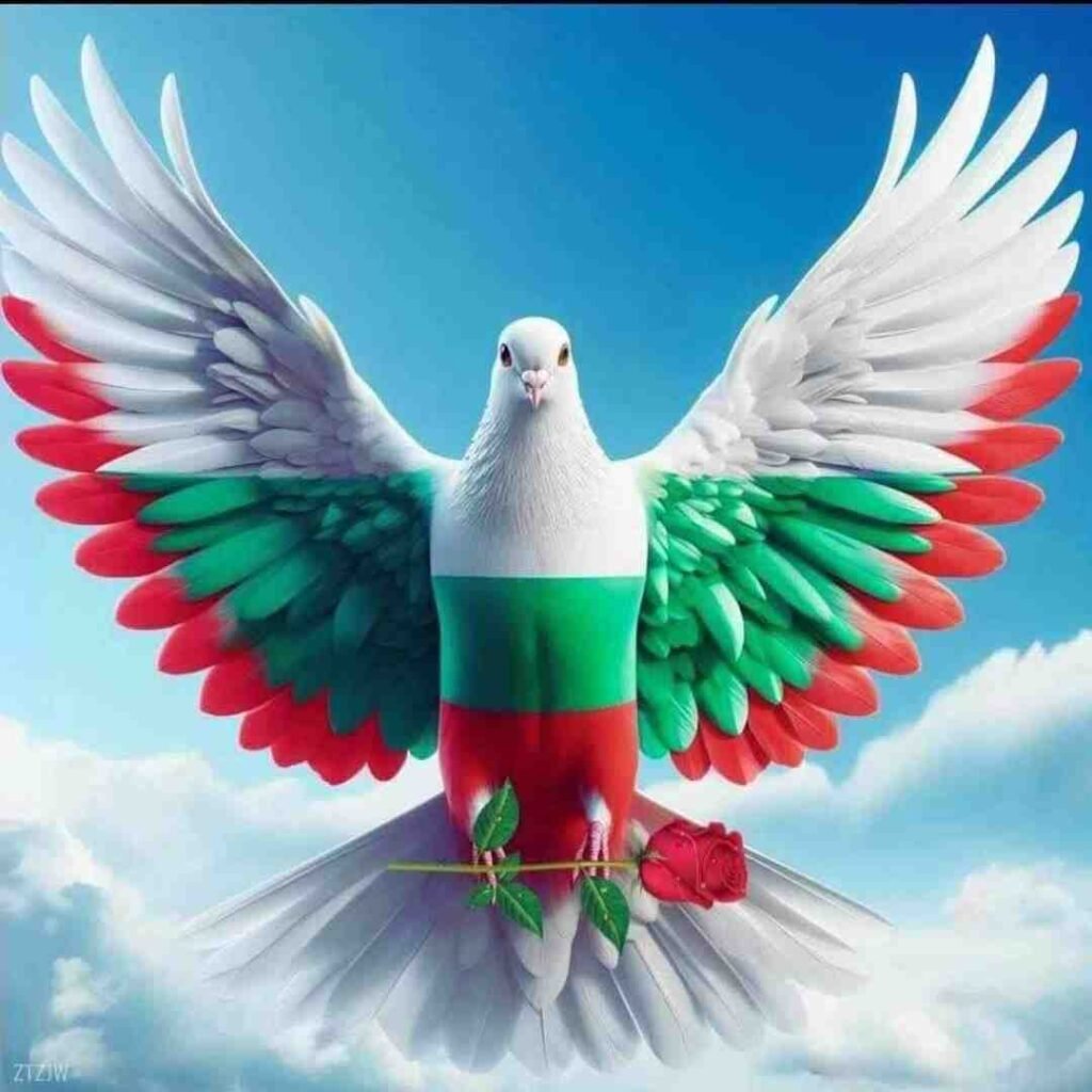Mexico Flag DP Pics