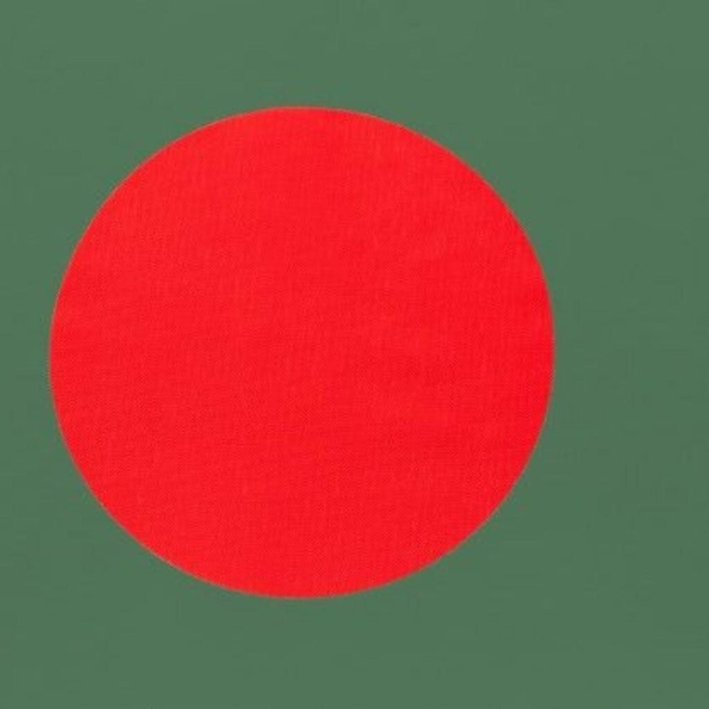 Bangladesh Flag DP Photos