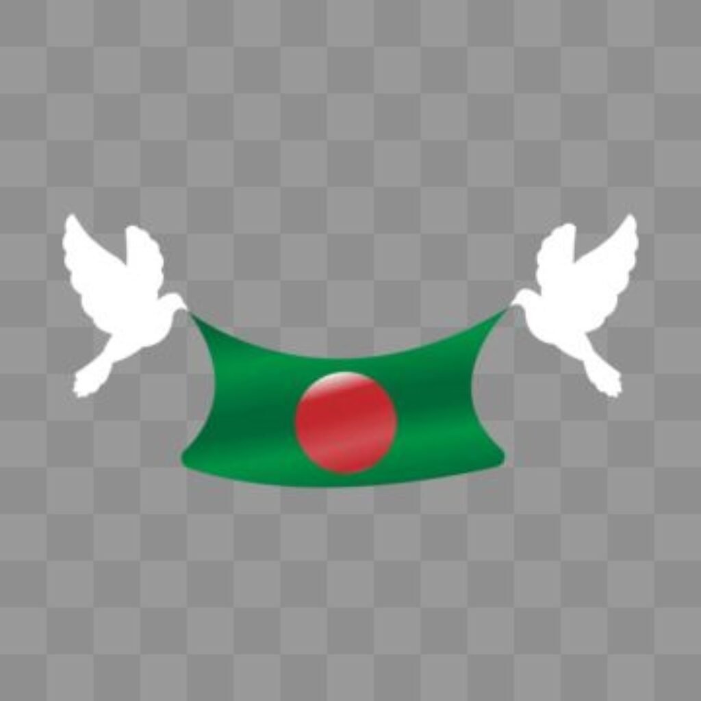 Bangladesh Flag Pic HD 4k